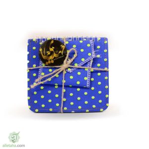 دفترچه پیکسلی یا مهدی